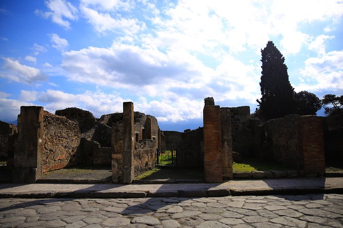 Rome to Pompeii & Herculaneum Trip with Hotel Pickup & Skip-the-line Tickets - A Minivan Ride and a Private Day That Stays Comfortable
