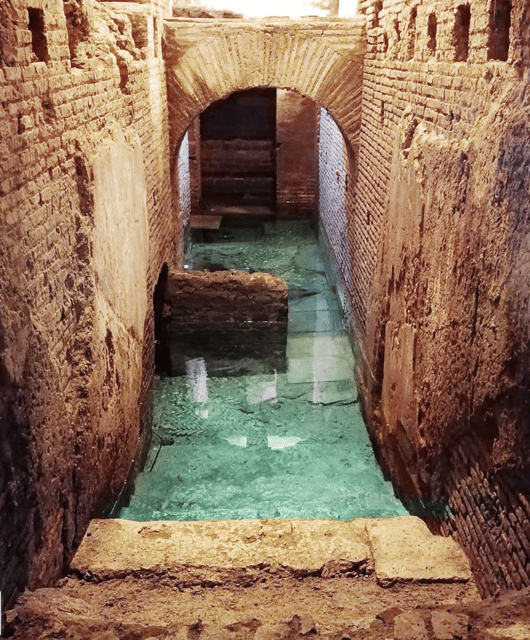 Rome: Trevi Fountain Underground Small Group Tour - Price and time: is $71 worth it?
