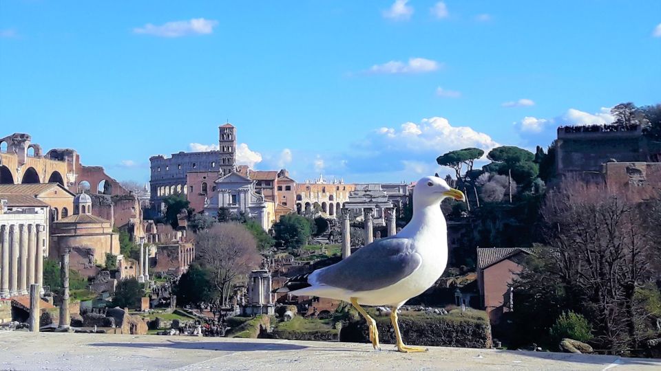 Rome: Vatican & Colosseum Experience with Lunch & Transfers - Lunch in the middle: a real break, not just a pause