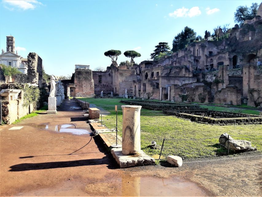 Rome: Vatican & Colosseum Experience with Lunch & Transfers - Pickup to Vatican: St. Peter’s Square, Bernini, and the Pope’s Balcony