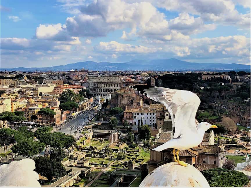 Rome: Vatican, Colosseum & Main Squares Tour w/ Lunch & Car - How the Luxury Car Makes Rome Feel Less Exhausting