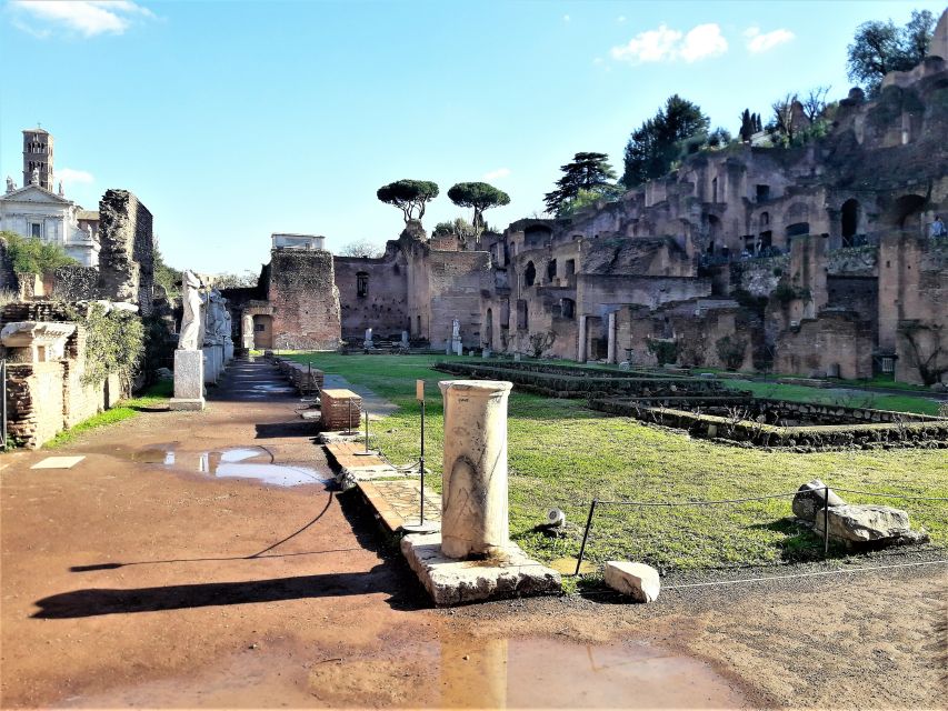 Rome: Vatican, Colosseum & Main Squares Tour w/ Lunch & Car - The Colosseum and Roman Forum Combo That Actually Works