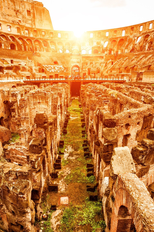 Rome: VIP Colosseum, Roman Forum, Palatine Hill Experience - Value check: what you’re paying for