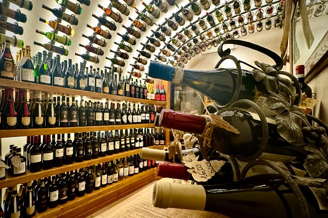 Rome VIP Wine and Food Tasting in a 2,000 Year Old Roman Cistern - Who this cistern wine tasting is best for