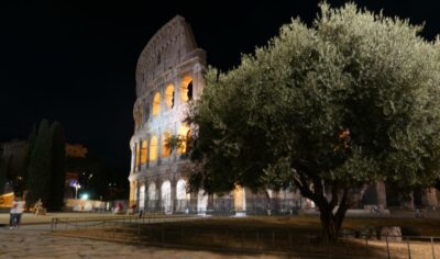 Rome: Wonders of Ancient Rome at Dusk - Meeting at P.za del Colosseo: Start easy, arrive early