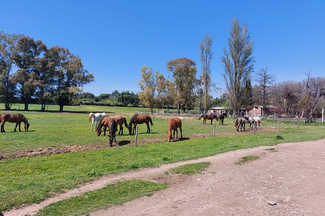 Rome's Ultimate Bike Tour - The Appian Way (Via Appia Antica) ride: the part you’ll remember