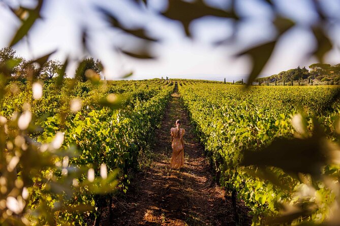 Rome's Vineyard Symphony: Countryside Winetasting Experience - Cellar time and the wine story: Lazio grapes, local technique