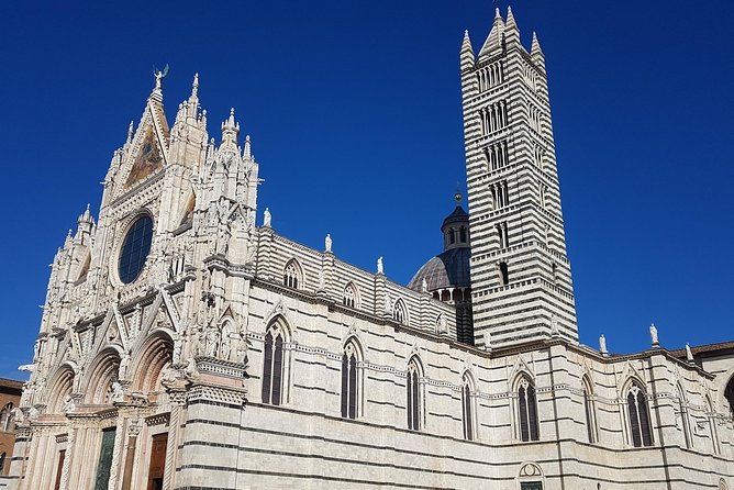 Siena and San Gimignano from Rome: Private Wine Tour in Tuscany - The long-day trade-off: how to handle the walking, time limits, and early start