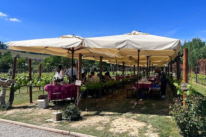 Siena and San Gimignano from Rome: Private Wine Tour in Tuscany - What the guides seem to get right: pacing, story, and making sights click
