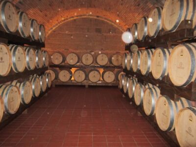 Siena & San Gimignano Day Tour & Wine Tasting from Rome - Riding through the Chianti hills before you arrive