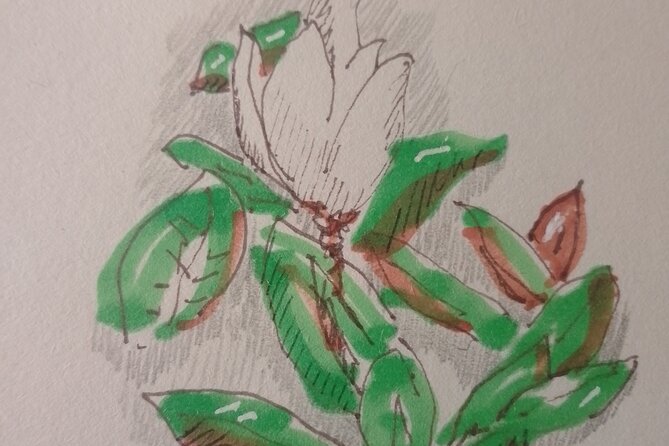 Sketching in Rome Villa Borghese Private lesson with Guido - Who this private sketching lesson is best for