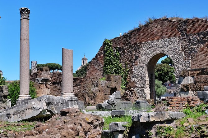 Small Group Colosseum, Roman Forum & Palatine Hill Tour - Palatine Hill: The Imperial View and Rome’s Foundation Stories