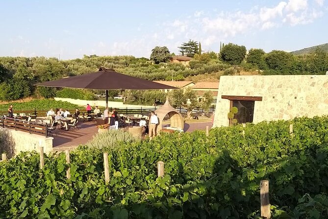 Small-Group Exclusive Winery and Wine Tasting Tour in Frascati - Key Things That Make This Tour Worth Your Time