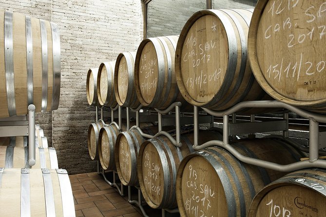 Small-Group Exclusive Winery and Wine Tasting Tour in Frascati - Small group energy with guide Nina
