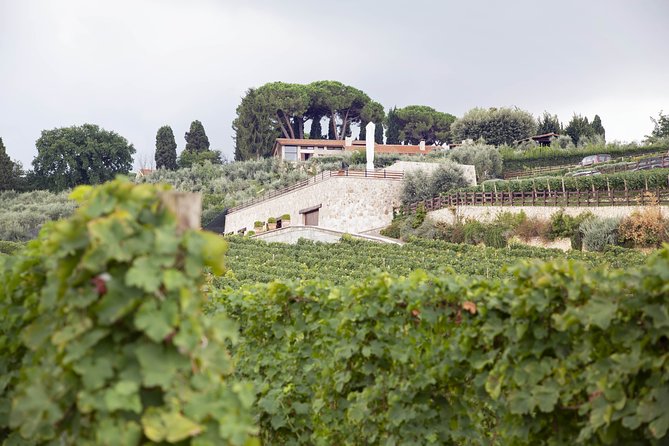 Small-Group Exclusive Winery and Wine Tasting Tour in Frascati - Is the $65.22 price fair for Frascati wine tasting?