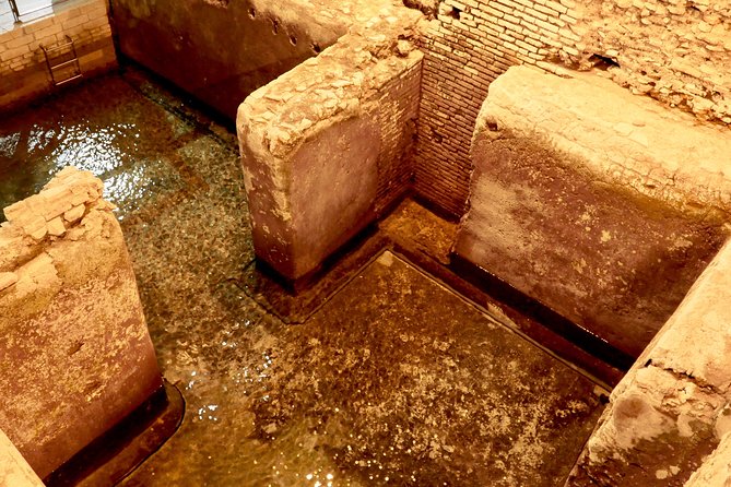 Small-Group Express Tour of Trevi Fountain with Undergrounds - Who This Tour Fits Best (and who should plan differently)
