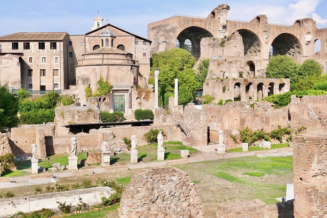 Small-Group Tour of Roman Forum & Palatine Hill - Arches and the Temple of Venus and Roma: propaganda meets the best view