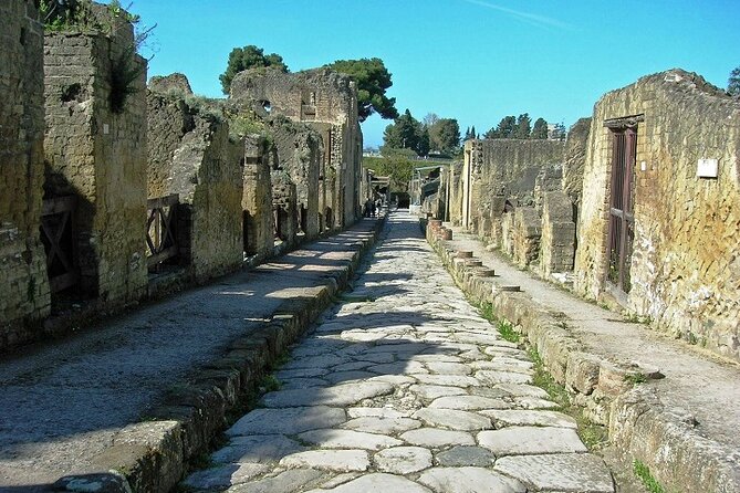 Small Group Tour Pompeii and Herculaneum from Rome - Who should book this tour (and who should think twice)