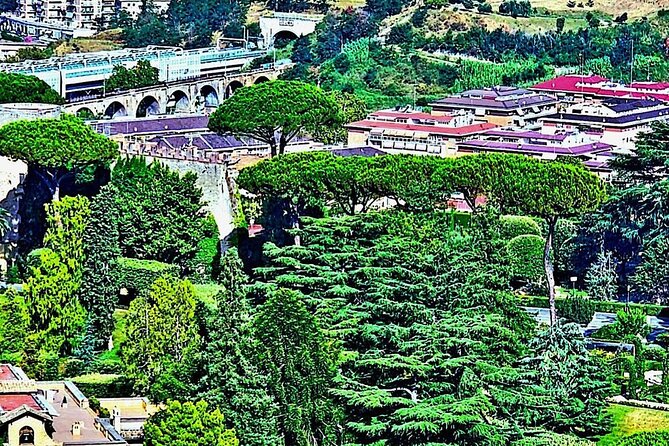 St. Peter's Basilica and Papal Grottoes Guided Tour - Papal Grottoes: where hundreds of popes rest beneath the nave