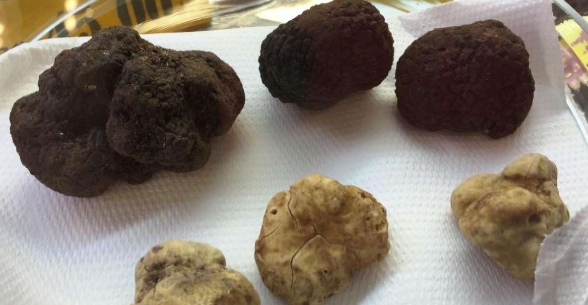 The Truffle Experience in Rome - The host experience: learning without lectures