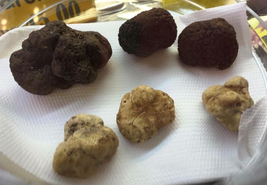 The Truffle Experience in Rome - Meeting point and how to actually plan your hour