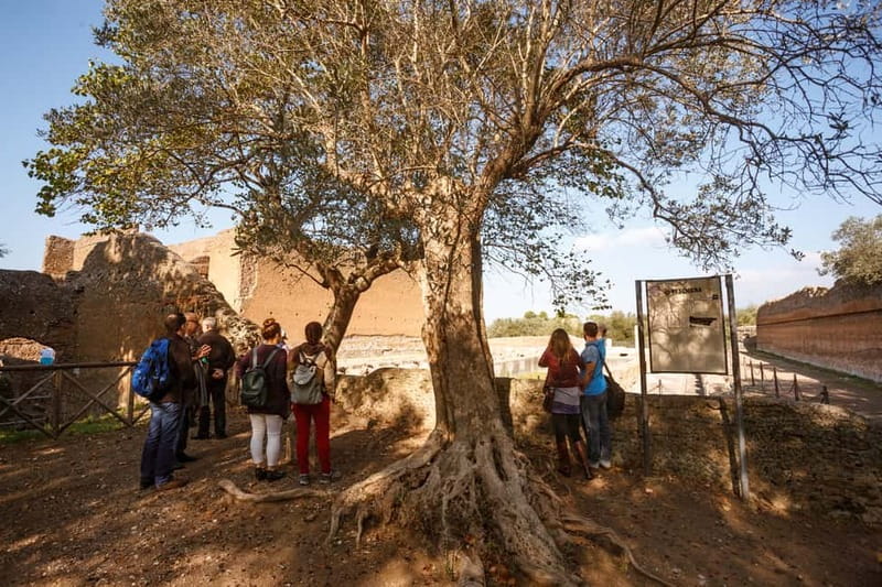 Tivoli: Entrance Ticket to Villa Adriana & App Audioguide - Villa Adriana at a Glance: Hadrian’s Summer Retreat Beyond Rome
