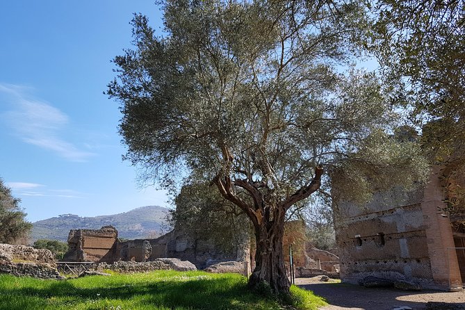 Tivoli Villas Full Day Trip From Rome with Lunch - Getting value for $90.51: what you’re really paying for