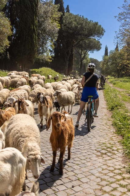 Top Electric MTB Adventure on Appian Way & Aqueducts, (26km) - Electric MTB comfort over cobblestones (and why your skills still matter)