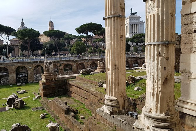 Tour in Rome, half day - The Colosseum stop: photos first, optional entry without stress