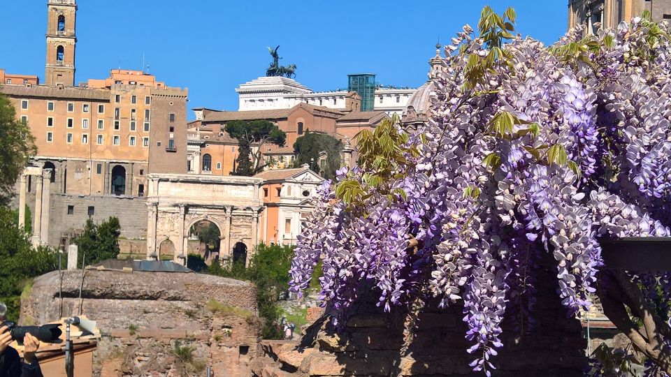 Tour of Colosseum & Roman Forum with Dutch Guide - Palatine Hill: The View That Puts the Forum in Context