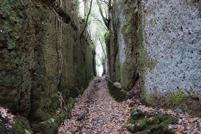 Trekking Excursion History and Nature Necropolis of Norchia from Rome - The Rome-to-Norchia transfer: more than just “getting there”