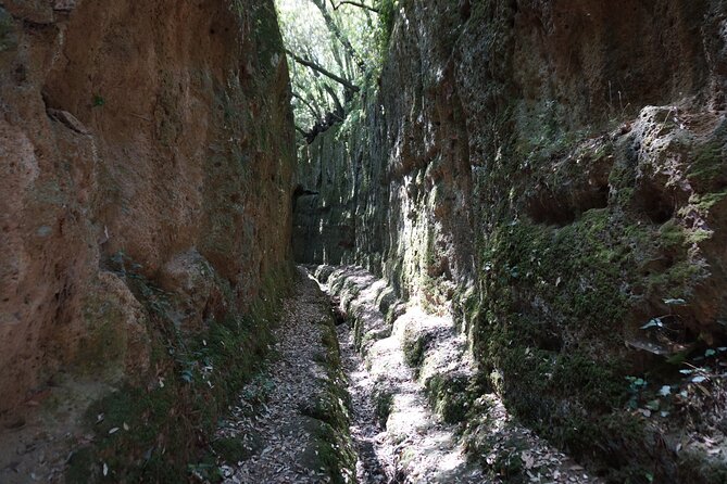 Trekking Excursion History and Nature Necropolis of Norchia from Rome - The forest acropolis and the Di Vico castle setting