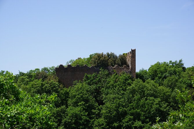 Trekking Excursion History and Nature Necropolis of Norchia from Rome - Necropolis walking: down toward the Acqualta canyon, then back up