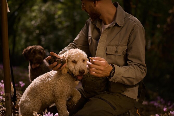 Truffle Hunting, Lunch & Cooking Class in Rome's Countryside - Getting to Riano: Ottaviano Metro line A and a driver waiting