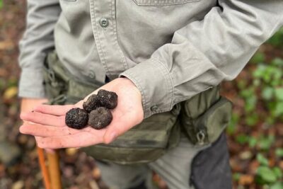 Truffle Hunting, Lunch & Cooking Class in Rome's Countryside - What “truffle hunting” really means here with a Lagotto Romagnolo