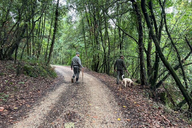Truffle Hunting, Lunch & Cooking Class in Rome's Countryside - Pasta and tiramisù cooking class: you’ll do the work, not just watch
