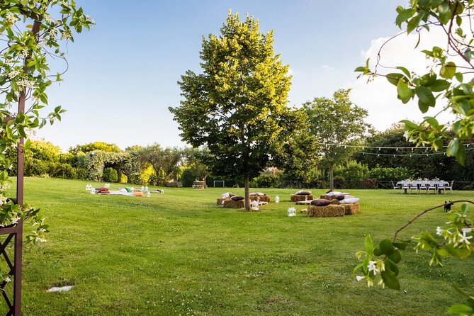Truffle Hunting, Lunch & Cooking Class in Rome's Countryside - Price in context: what $540.11 buys you