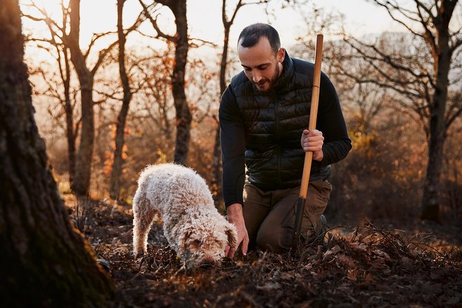 Truffle hunting near Rome with 7-course lunch - Should You Book This Truffle Hunt Near Rome?