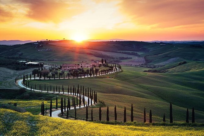 Tuscany Countryside including Wine Tasting & Lunch - Private Day Trip from Rome - Why this private Tuscany day trip feels low-stress from Rome