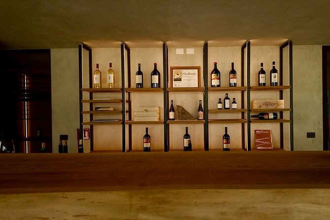 Tuscany & Pitigliano Day Tour from Rome with Wine Tasting & Lunch - Tenuta il Quinto: A Family Winery with Organic Wine and Proper Food Pairing