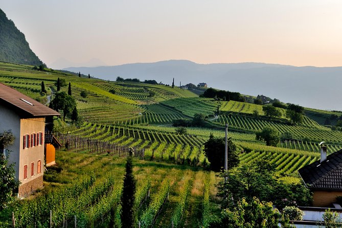 Tuscany Wine Tour from Rome with Private Driver - The private vehicle: comfort, timing, and photo-stop freedom