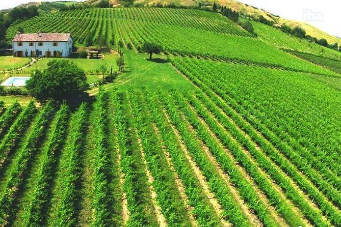 Under the Tuscan Sun Tour from Rome-Cortona & Montepulciano 1 day - Cortona First: Medieval Streets and the Under the Tuscan Sun Factor