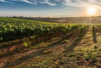 Under the Tuscan Sun Tour from Rome-Cortona & Montepulciano 1 day - Price and Logistics: Is $662.78 per Person Worth It?