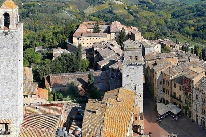 Under the Tuscan Sun Tour from Rome-Cortona & Montepulciano 1 day - Contucci Cantine Winery: Wine Tasting in a Historic Cellar