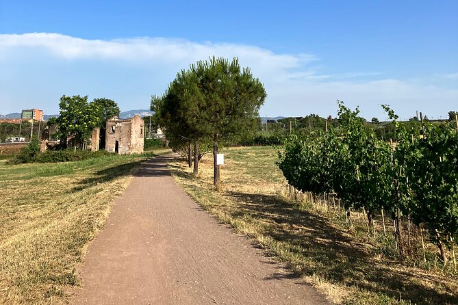 Urban Hike to the Aqueduct Park in Rome - Pigneto: a trendy start with an old-water mission