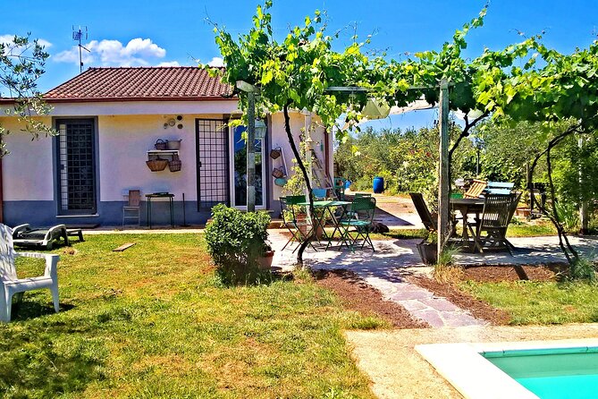 Vegetarian Cooking class in the Roman countryside - Three-course lunch with wine: the best kind of proof