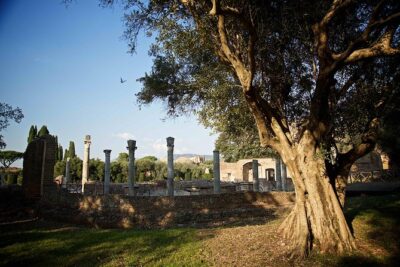 Villa Adriana and Villa d'Este Unique Photo Tour and Workshop - Villa Adriana: Golden Hour Ruins, Pools, Temples, and Geometry