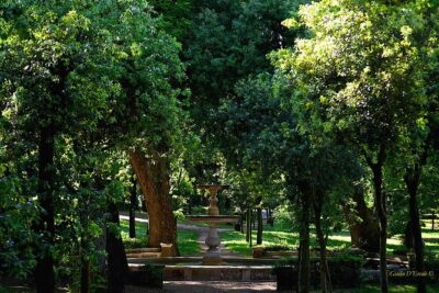 Villa Borghese and Posh Areas Unique Photo Tour and Workshop - Terrazza del Pincio: a quick practice round for skyline framing