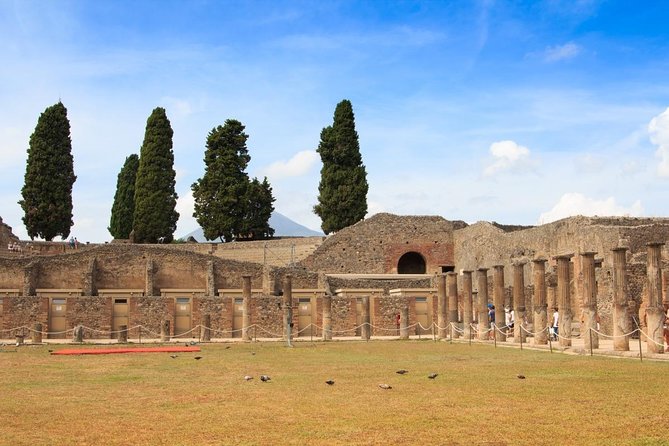 VIP Experience Private tour to Pompeii and Amalfi coast from Rome - Who this Pompeii + Amalfi day is best for