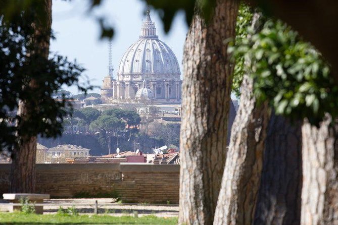 VIP Guided Tour Rome Colosseum, Vatican Museums, lunch included - Timing Tips You Can Use Immediately